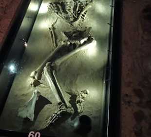 Rundgang durch das Archäologische Museum Harburg