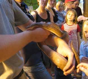 Zoo Kaiserslautern