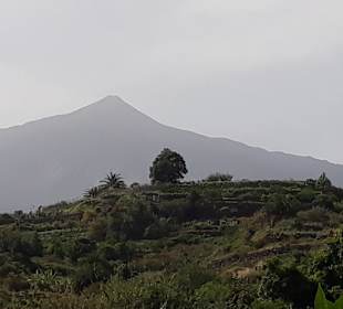 Inselrundfahrt AIDA Tagestour