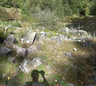 Alpinum