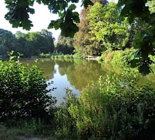Spaziergang durch den Stadtpark Lübeck