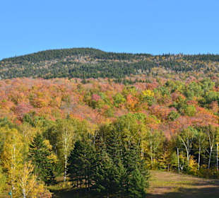 Herbstfärbung an der Straße zum Mt. Washington