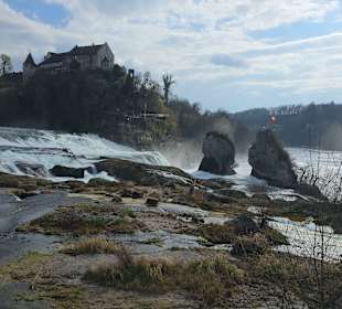 Rheinfall 