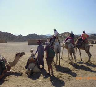 Kamelreiten bei den Beduinen