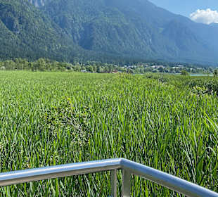 Wandern Hermagor - Pressegger See