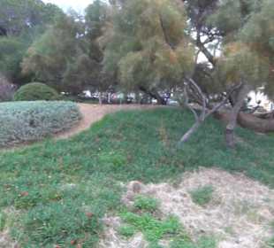 Carretera Del Arenal Balneario