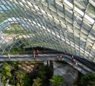 Gardens by the Bay