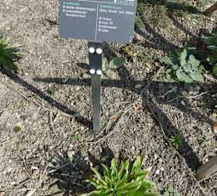 Erläuterungen der Kräuter