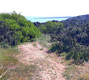 Nationalpark Kap Greco