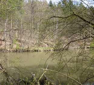 Wandereindrücke: von Handthal nach Ebrach