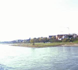 Rhein-Schifffahrt mit der Köln - Düsseldorfer