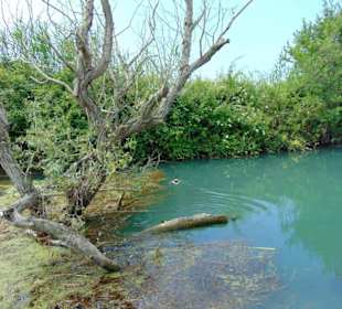 Acheron-Impressionen