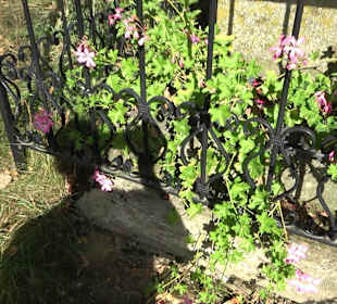 Friedhof Eutingen im Gäu