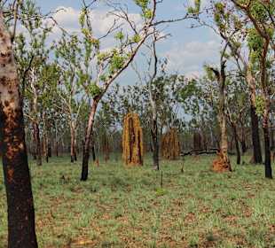 Kakadu NP
