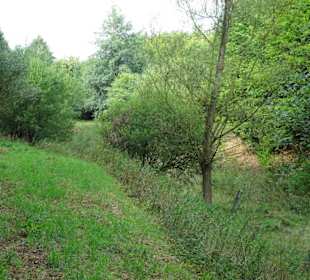 Rundgang durch das Arboretum in Wildeshausen