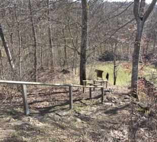 Burgruine Hohenstein