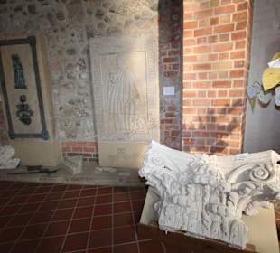 Gipsabdrücke von Domteilen