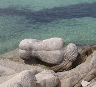 Die Nixe in einer einsamen Bucht