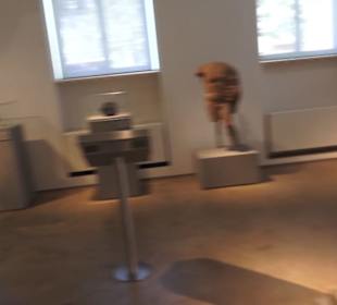 Museum für Vor- und Frühgeschichte