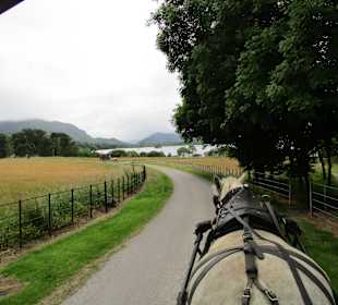 Pferdekutschenfahrten (Jaunting Cars)