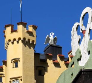 Immer wieder findet man den  Schwan