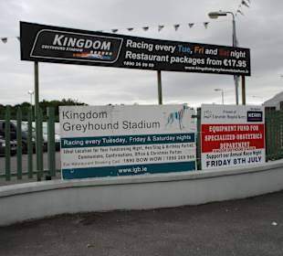 Windhundrennen Tralee