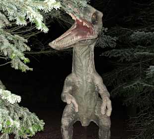 Mondo Verde Halloween