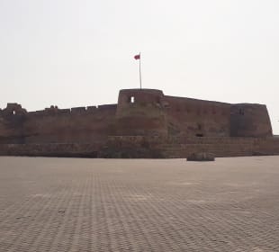 Arad Fort