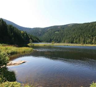 Kleiner Abersee in Lohberg