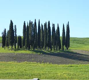 Wandern San Quirico D'Orcia