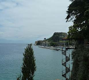 Blick aus dem Park