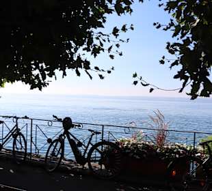 Uferpromenade Meersburg