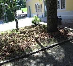 Palm'sches Schloss