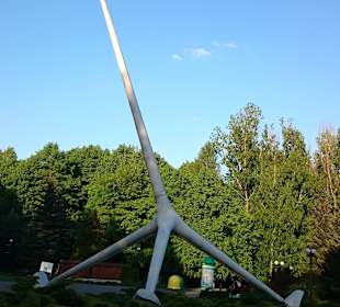 Żyrafa - charakterystyczny punkt parku