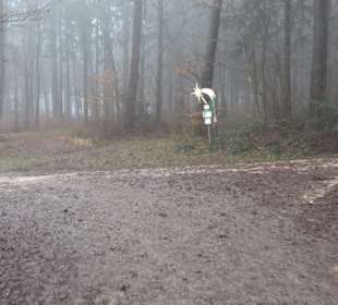 Auernheimer Krippenweg