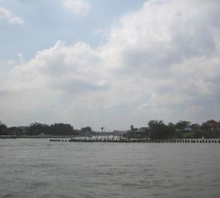 Einblick in einen Seitenarm des Flusses.