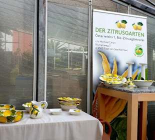 Eingang zum Zitrusgarten