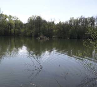 Sport- und Freizeitpark Markwasen
