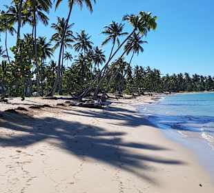 Strand Las Terrenas