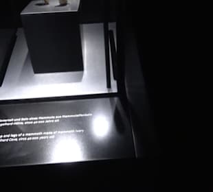 Museum Alte Kulturen