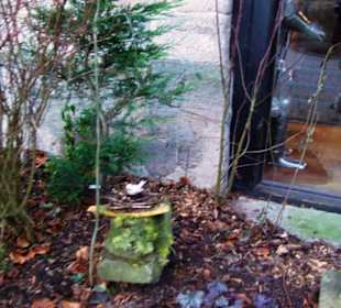 Schöne Steinfiguren