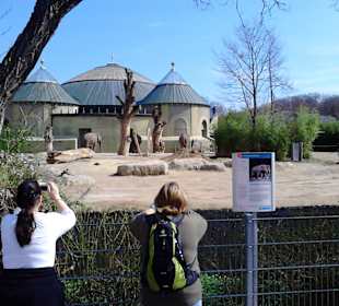 Tierpark Hellabrunn in München