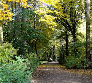 Herbstspaziergang durch den Bürgerpark Bremen