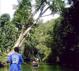 Ausflug auf dem Great River  Jamaica