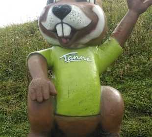 Wandern Nesselwängle