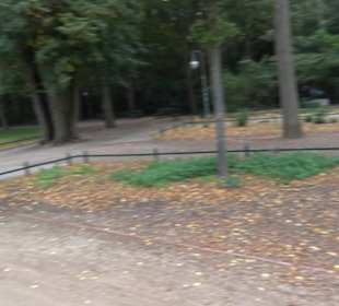 Berliner Tiergarten