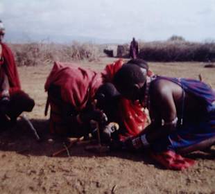 Massai