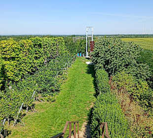 Blick von der Aussichtswarte
