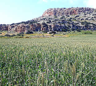 Nationalpark Kap Greco