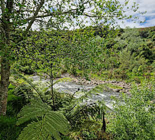 Tūpare